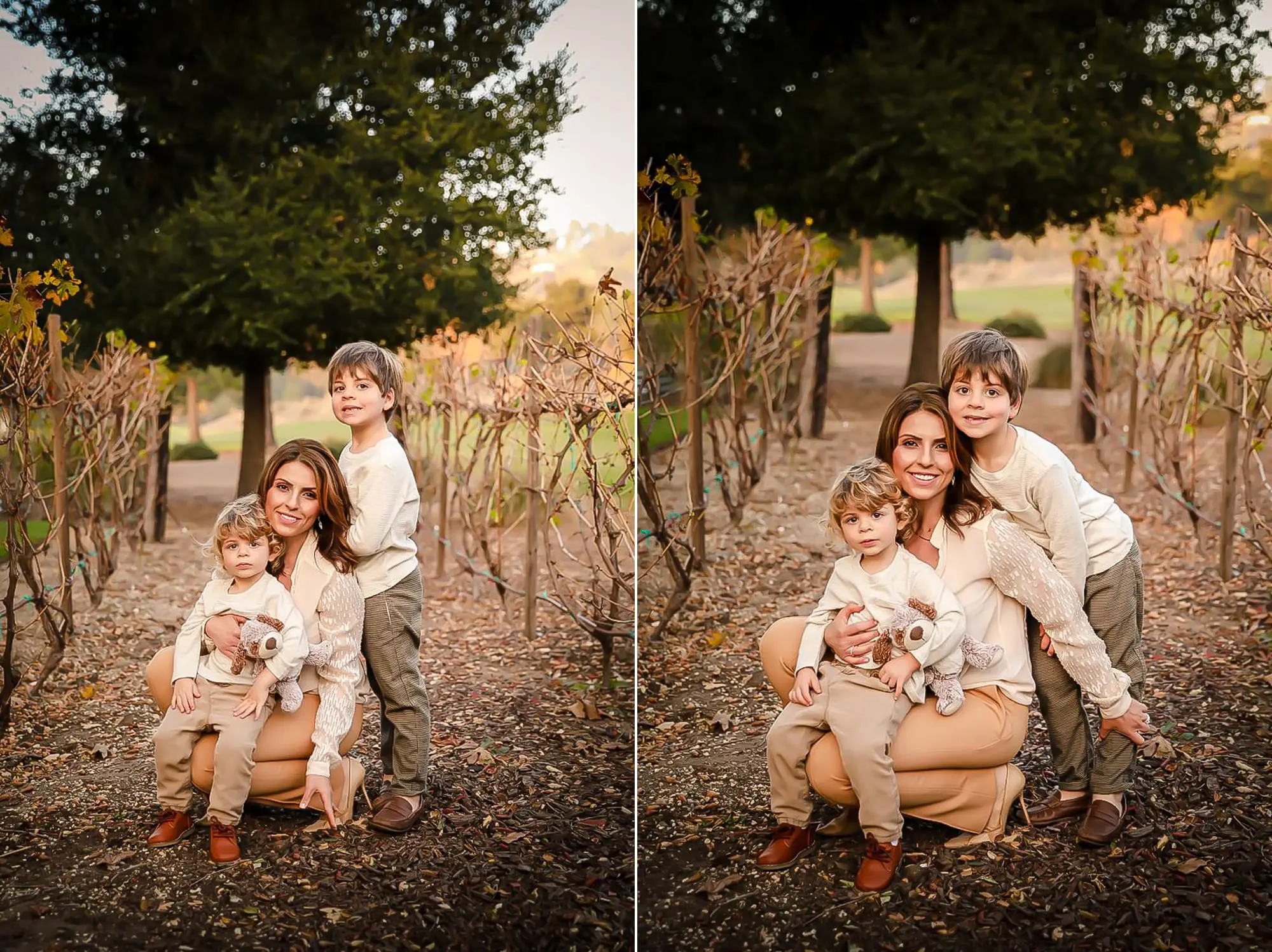 holiday family portraits glendale photographer4