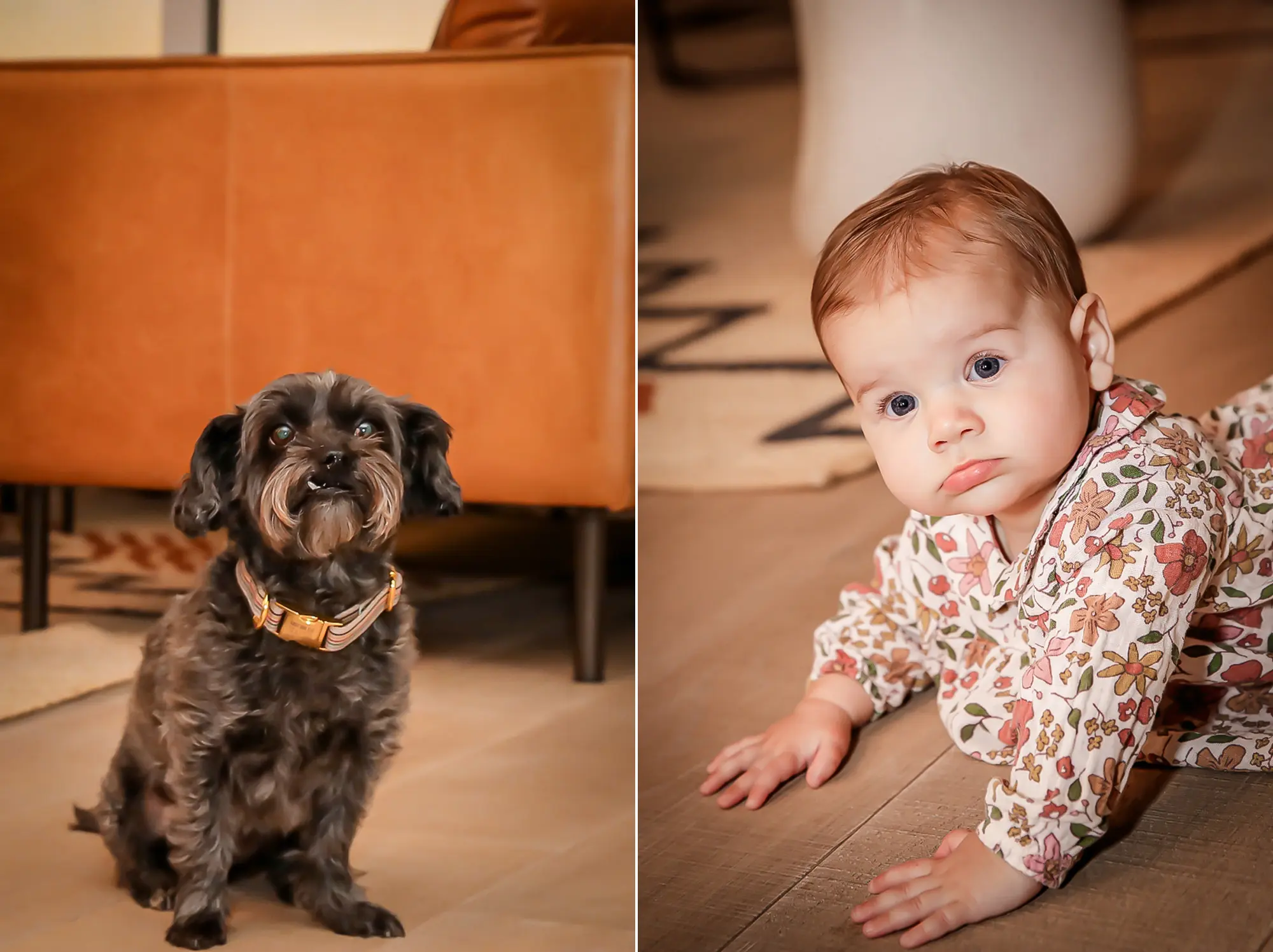 silverlake holiday family portrait session 053