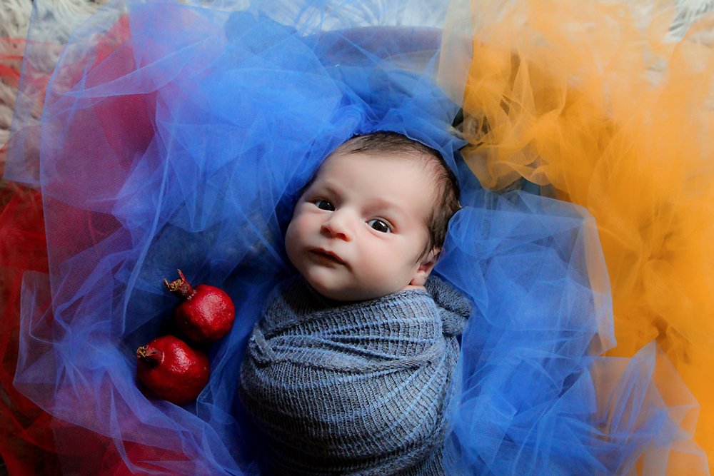 Newborn Baby William laying wide awake on a gray flokati rug, wrapped in a blue newborn stretch wrap. Red, Blue, and Orange tulle is laid out under him, representing the Armenian flag colors. 2 pomegranate placed next to him.  