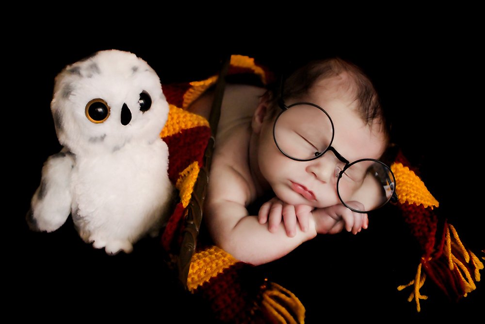 Harry Potter themed newborn photosession. Baby William is laying  holding a wand, Harry Potter round glasses, a stuffed owl, and wearing a Gryffindor Scarf
