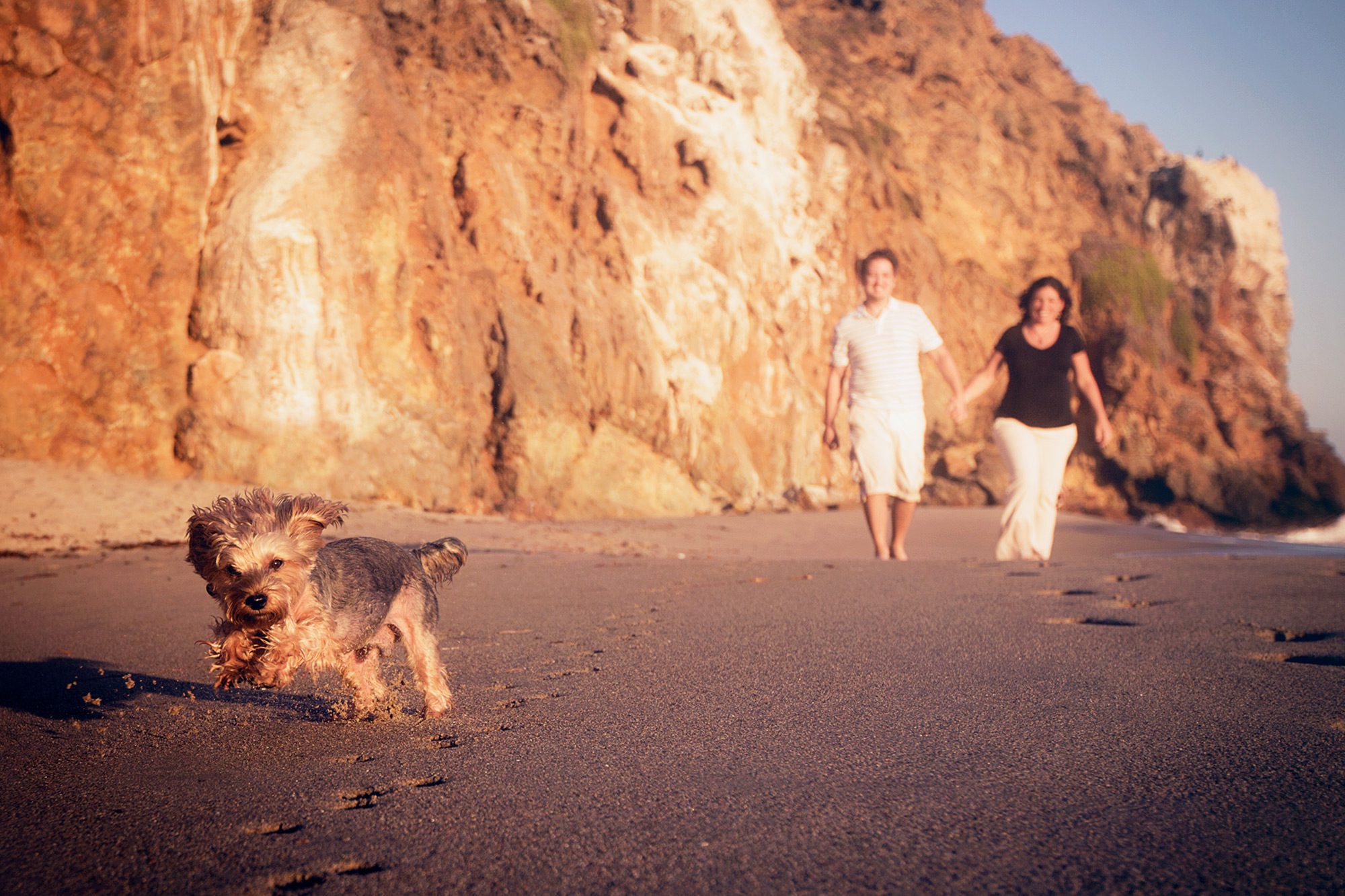 Couple walking on beach with dog.