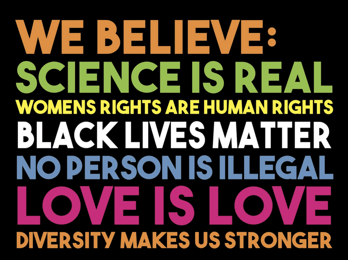 We Believe Yard Sign- Black Lives Matter, Women’s Rights, LGBTQ, Science, Immigration, Love is Love Human In this House Kindness BLM