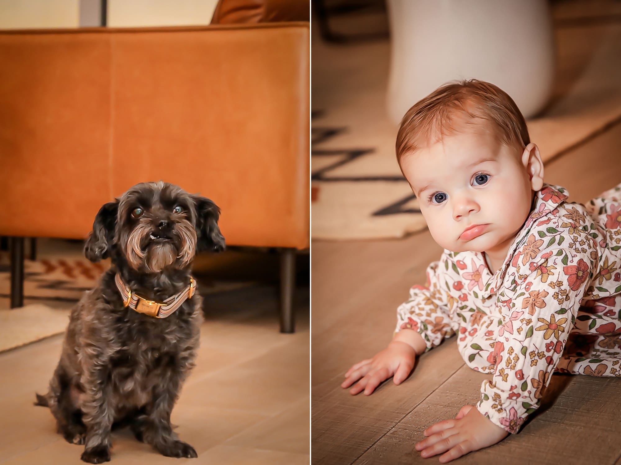 silverlake holiday family portrait session 053